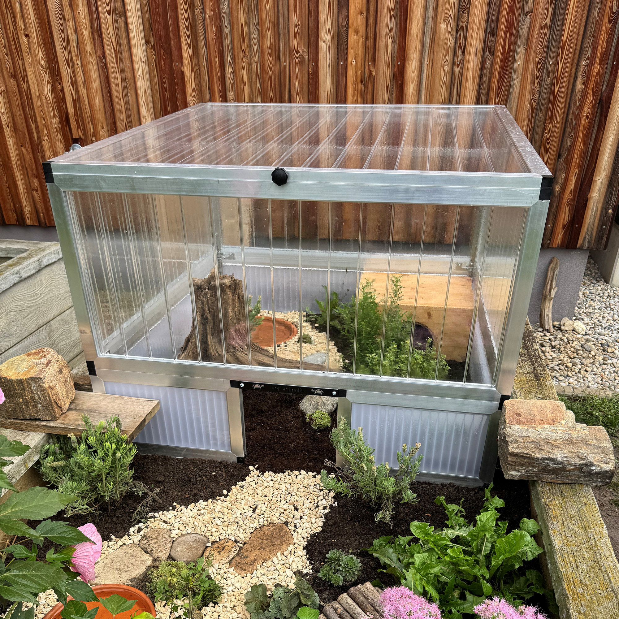 Wie halte ich eine Landschildkröte?