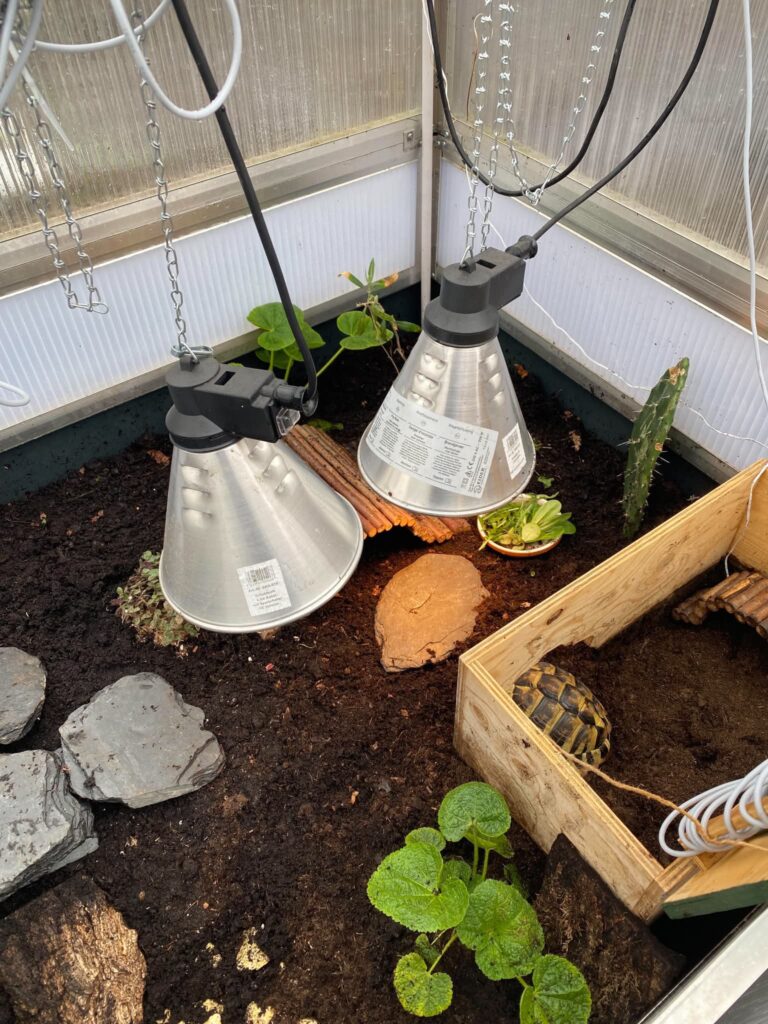 Wärmelampen Frühbeet